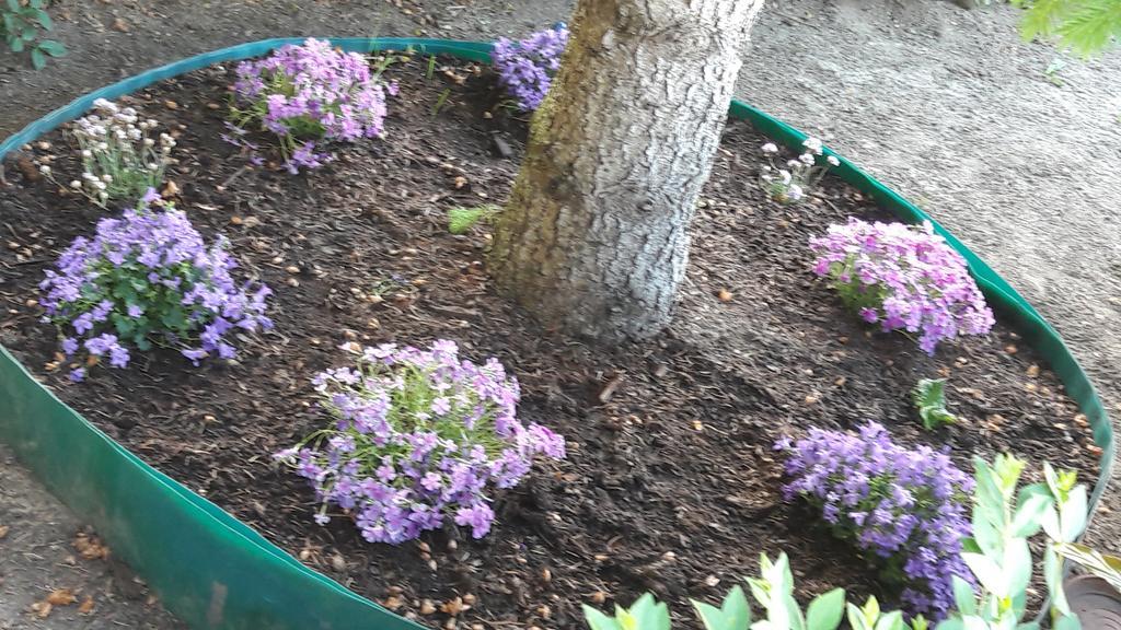 Szaloky Apartmanhaz Gyenesdiás Zewnętrze zdjęcie
